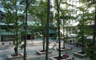 Cinco estudiantes del DIM han sido seleccionados para recibir la Beca de Doctorado ANID